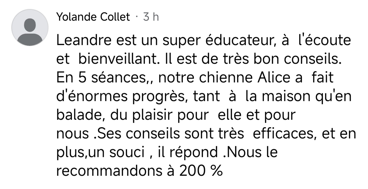 avis 3