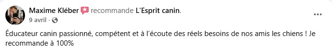 avis 4
