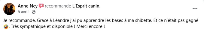 avis 5