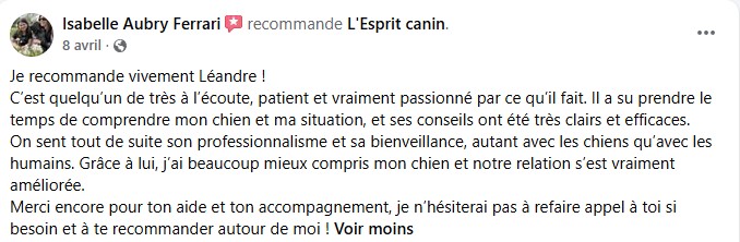 avis 6