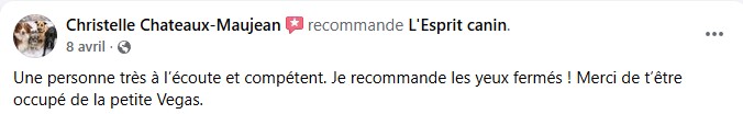 avis 7